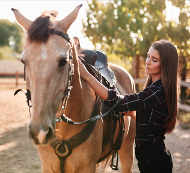 Ruta a Caballo